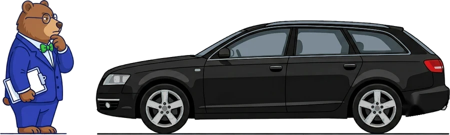 Miś MrVIN ogląda używane Audi kombi