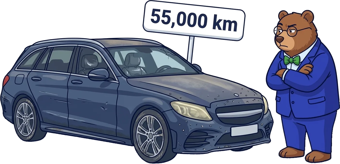 The MrVIN bear looking sceptically at a worn estate car under a sign that says 55,000 km