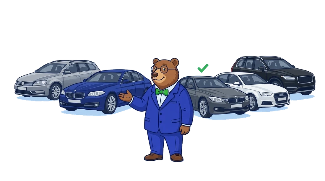 The MrVIN bear in front of the most checked used cars in Europe