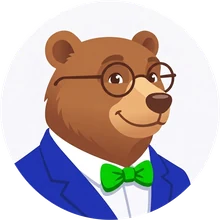 MrVIN the bear